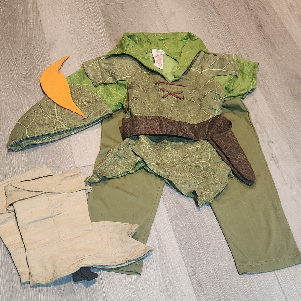 Disney Robin Hood Costume